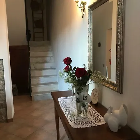 Sardegna Vicino Ad Olbia 