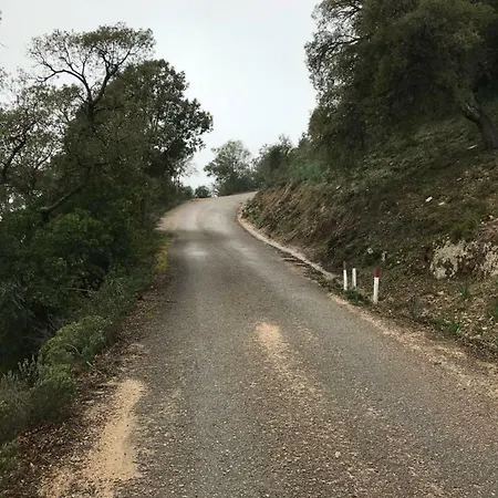 Sardegna Vicino Ad Olbia 