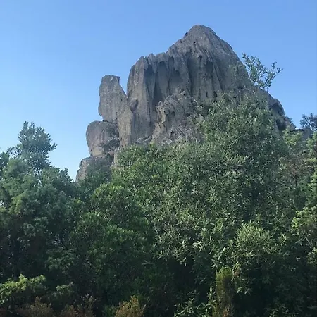 Sardegna Vicino Ad Olbia 