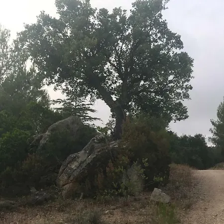 Ferienhaus Sardegna Vicino Ad Olbia 